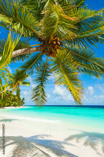 Fototapeta Naklejka Na Ścianę i Meble -  Rest in Paradise - Malediven - Palme, Palmenschatten, Himmel und