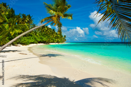 Fototapeta Naklejka Na Ścianę i Meble -  Rest in Paradise - Malediven - Palme, Palmenschatten, Himmel und