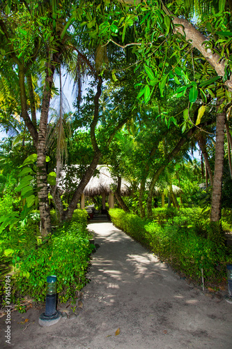 Rest in Paradise - Malediven - Hütte und Palmen auf der Insel