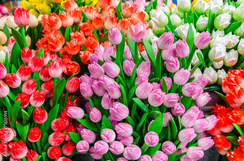 Traditional wooden colorful tulips at souvenir shop in Amsterdam © Andrew
