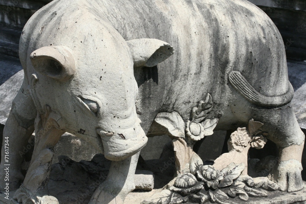 Fototapeta premium Wat Arun - Temple of the Dawn Pig Statue