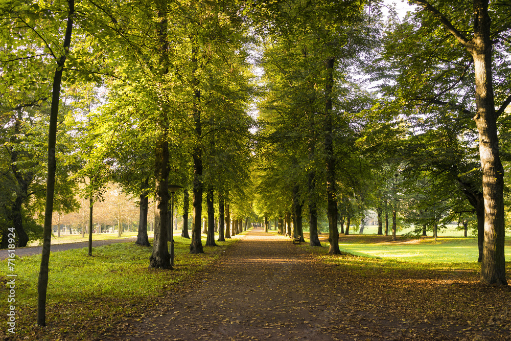 Naklejka premium Herbst 08324