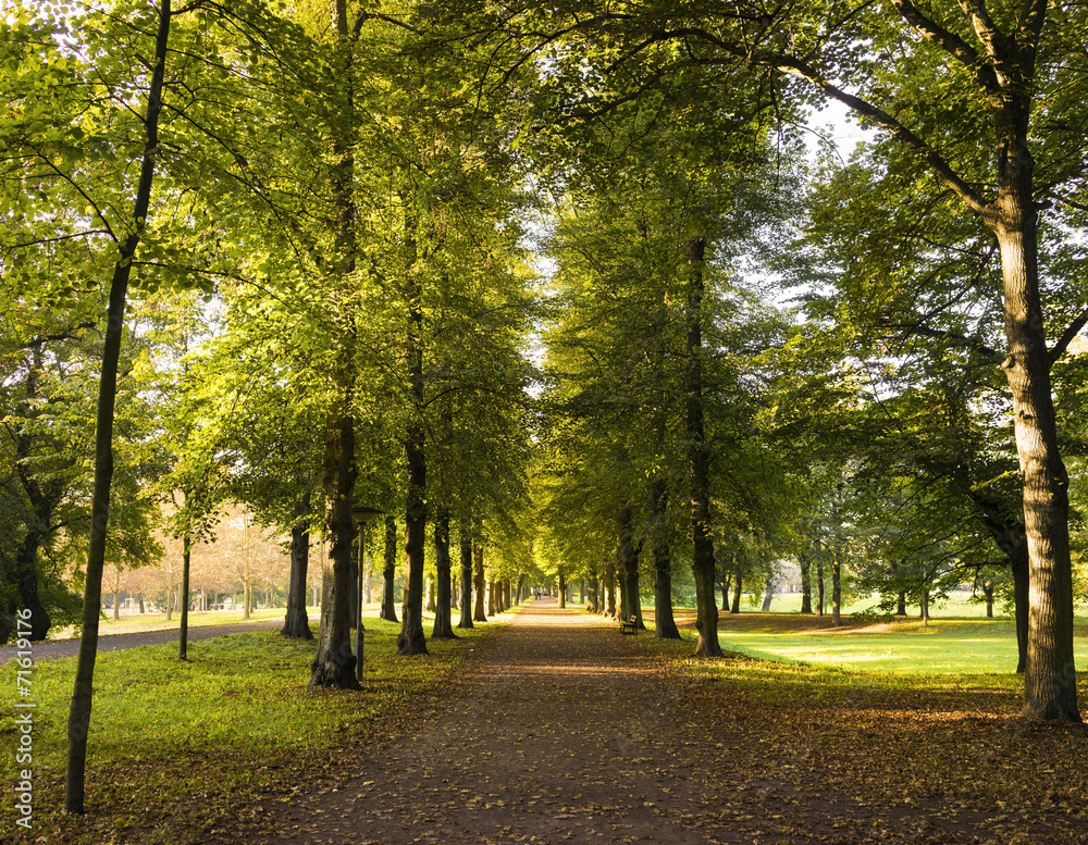 Naklejka premium Herbst 08324