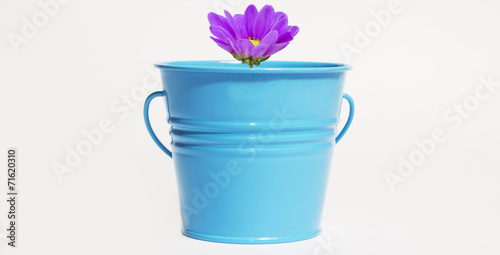 Fototapeta Naklejka Na Ścianę i Meble -  small bucket with a flower inside