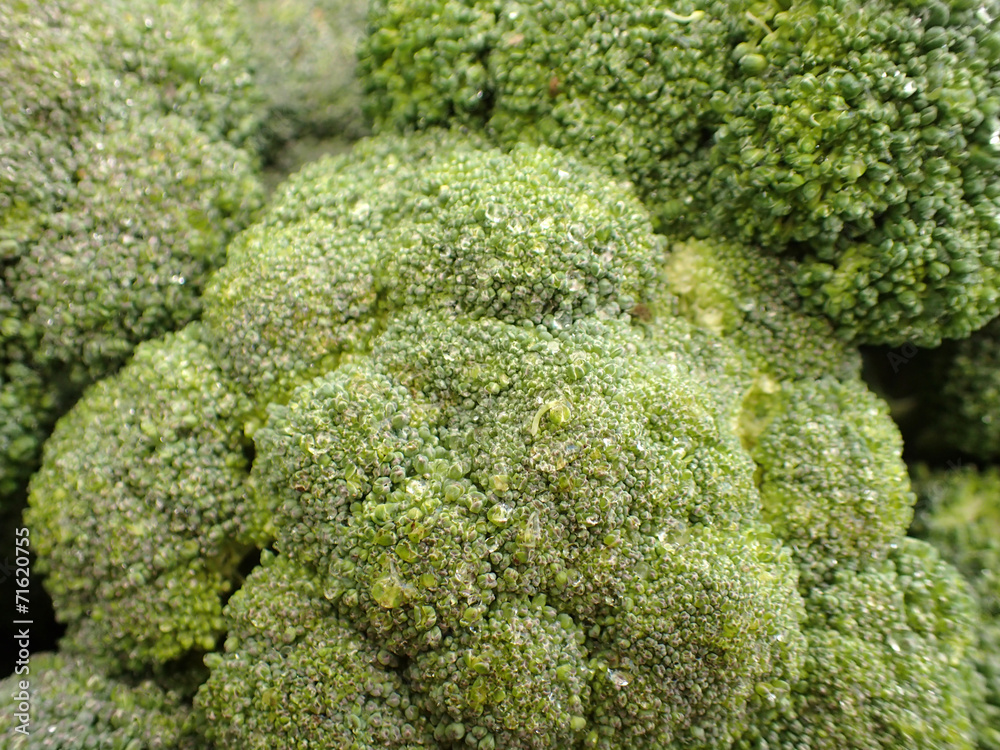 Group of fresh wet broccoli