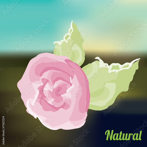 Ecology design