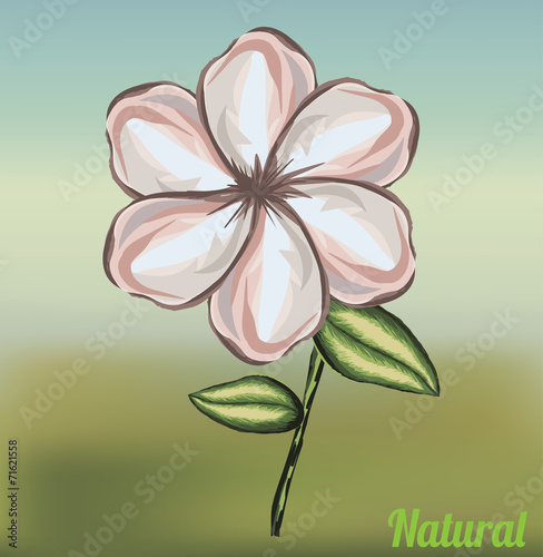 Ecology design