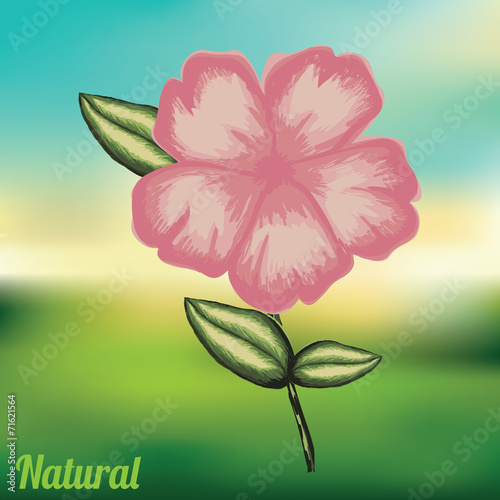 Ecology design