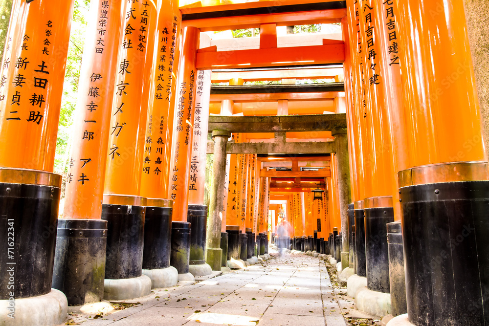 Obraz premium Fushimi Inari Taisha