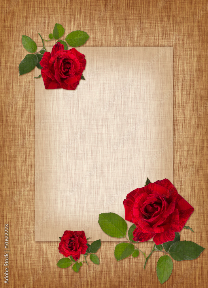Fototapeta blank greeting card with flowers