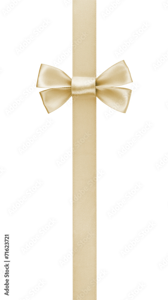 Fototapeta premium vertical border with champagne color ribbon bow