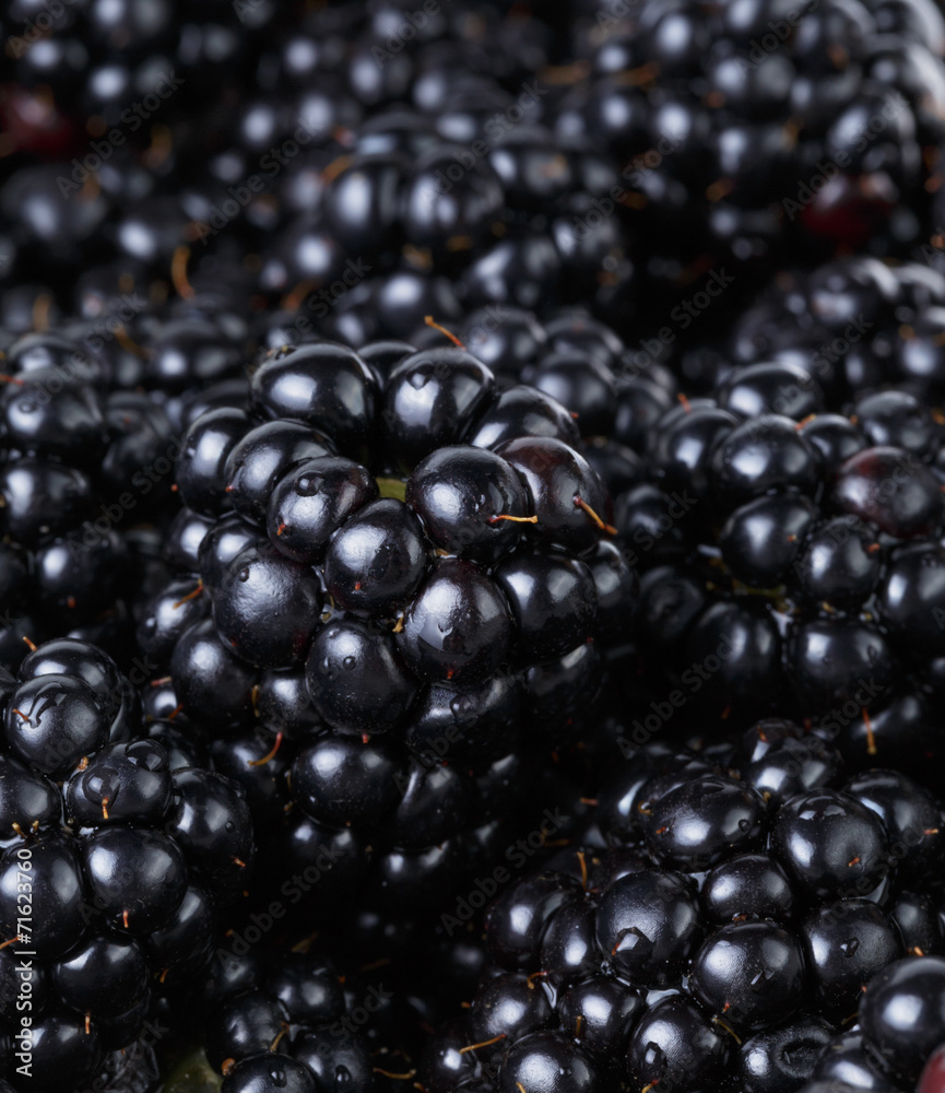 ripe organic blackberries close up ripe organic blackberries close up