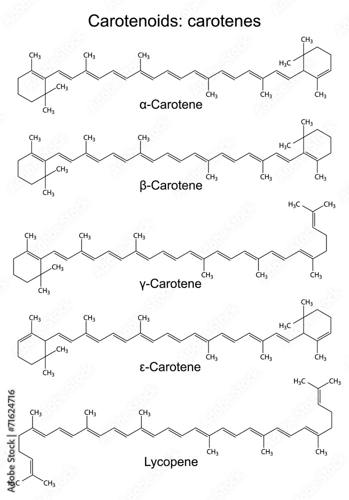 Structural chemical formulas of plant pigments - carotenoids car