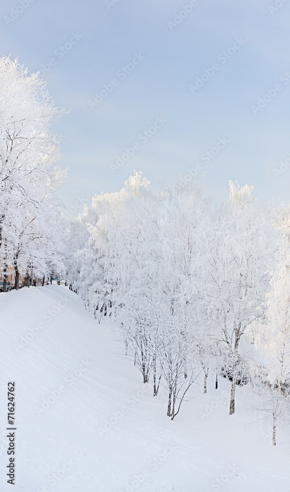 Obraz premium Winter landscape with snow covered trees