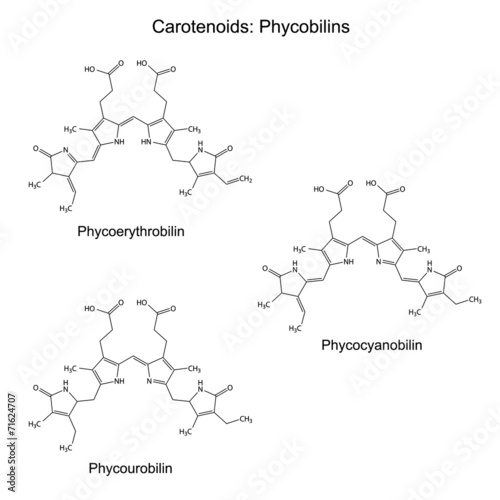 Structural chemical formulas of plant pigments - carotenoids phy