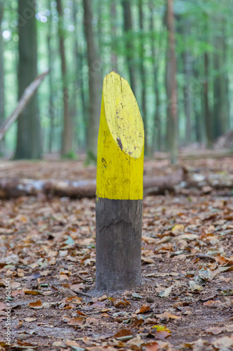Painted marking in a dutch forrest