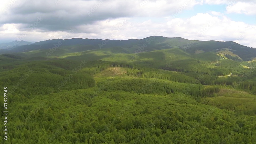 wood in mountains and clouds. Beautiful landscape. Aerial wood in mountains and clouds. Beautiful landscape. Aerial