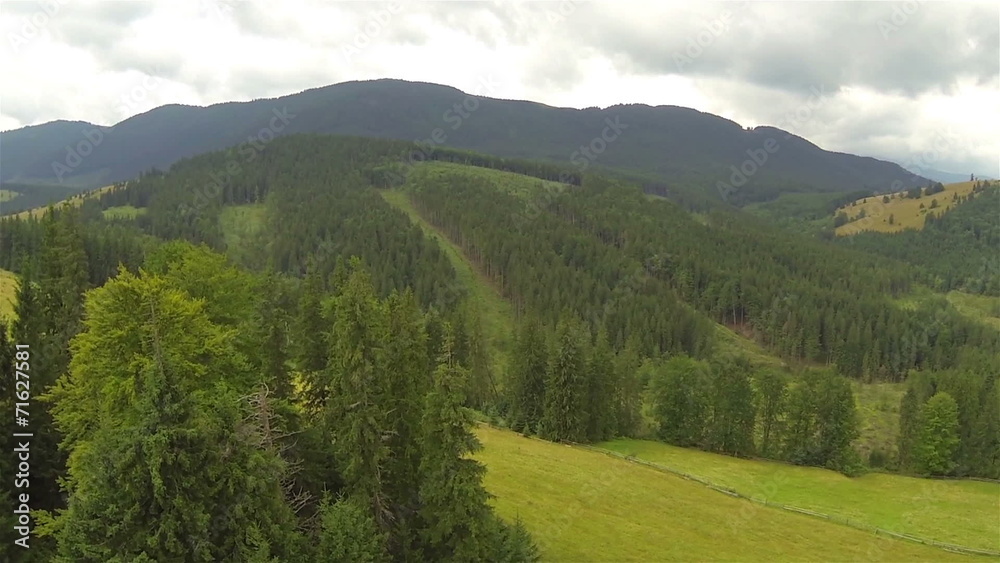 Slow fly over wood in mountains. landscape. Aerial Slow fly over wood in mountains. landscape. Aerial