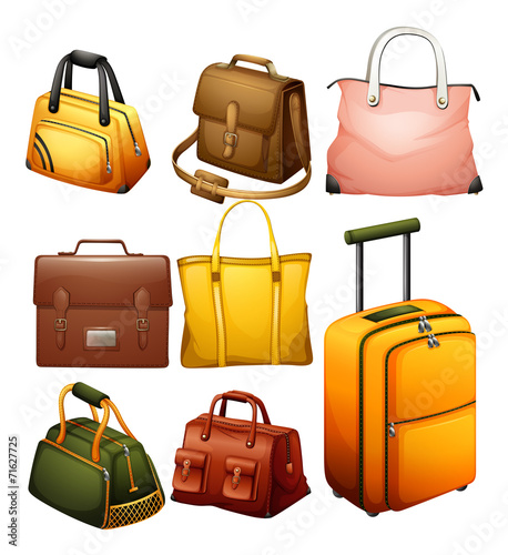 Different bags photo