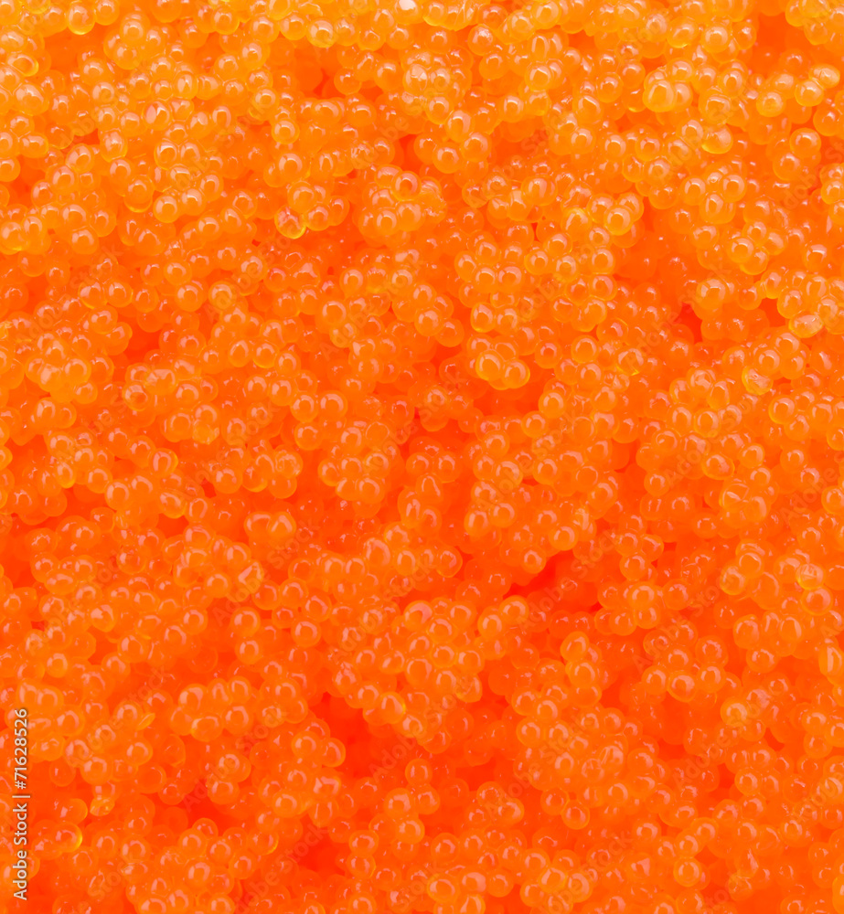 Egg shrimp background Egg shrimp background