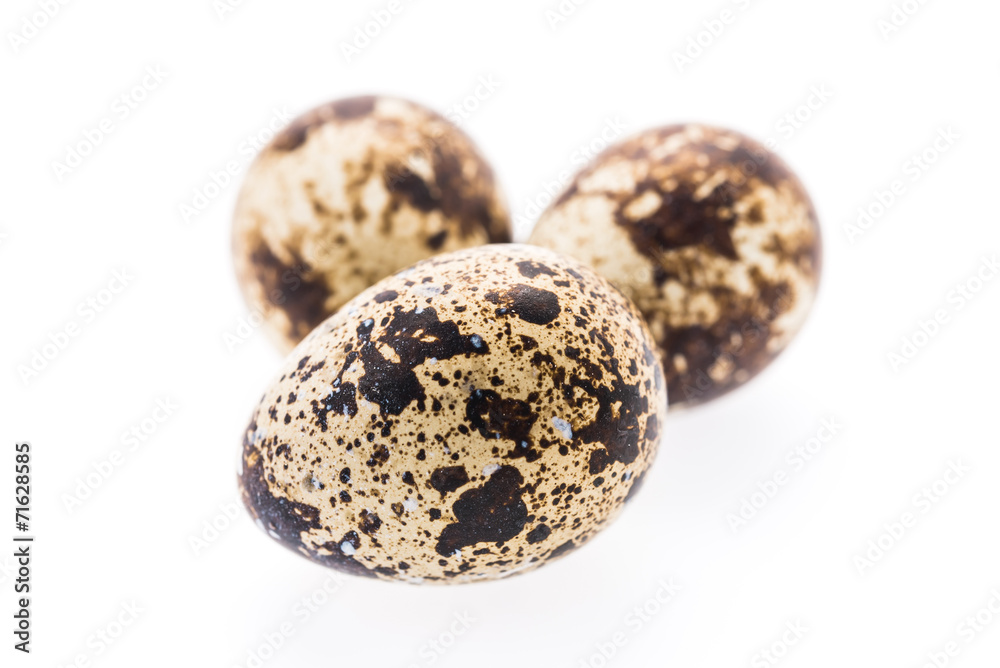 Quail eggs isolated Quail eggs isolated