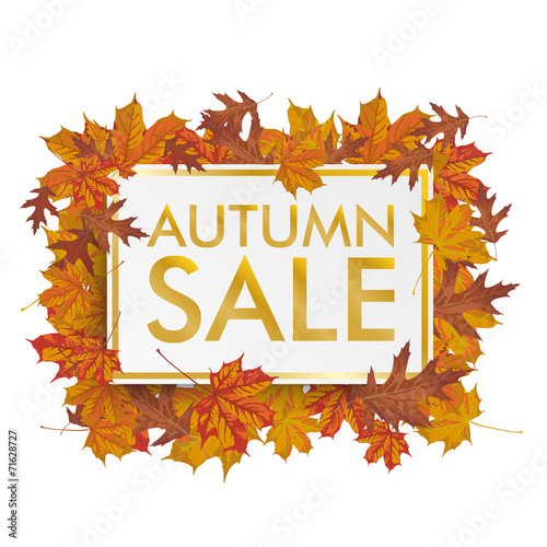 Golden Paper Board Autumn Foliage Sale photo