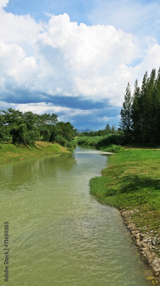 small river flow through the land of green field and high trees small river flow through the land of green field and high trees
