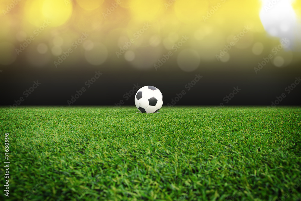 Fototapeta premium soccer field