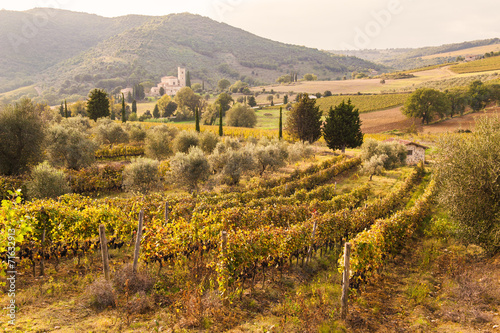 Italian medieval  Church between vineyards  Tuscany