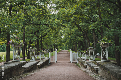 Catherine Park in Tsarskoye Selo 1145. © alenazamotaeva