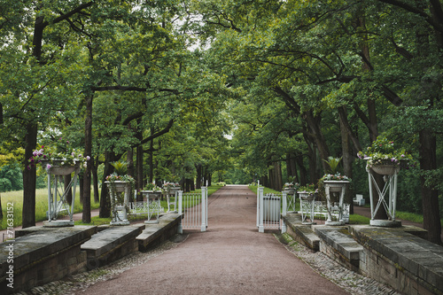 Catherine Park in Tsarskoye Selo 1145.