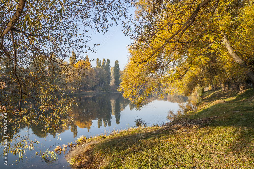 Autumn landscape 1