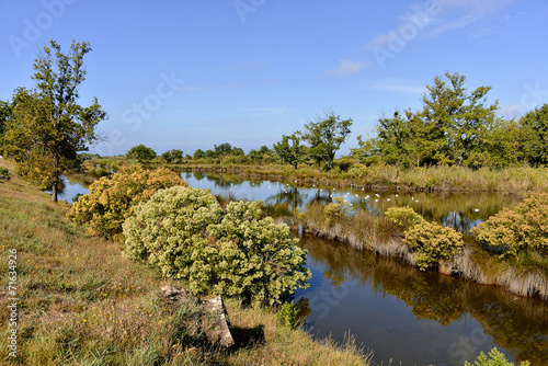 Marshes in the Bay of Arcachon