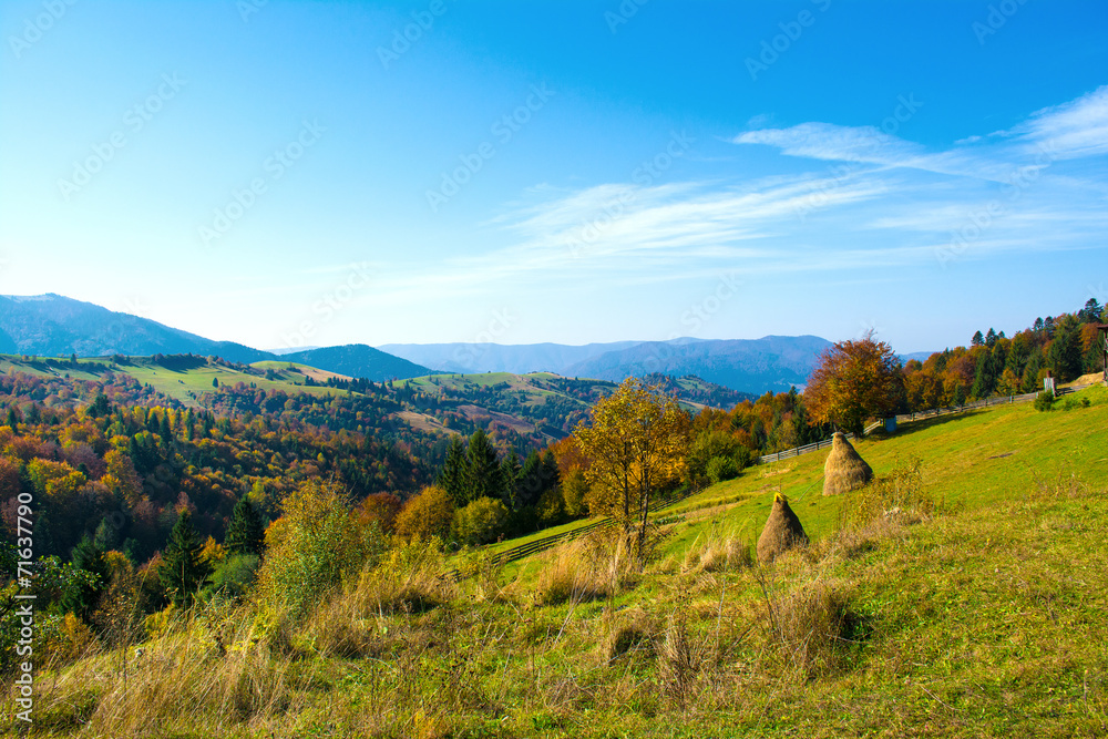 Autumn landscape