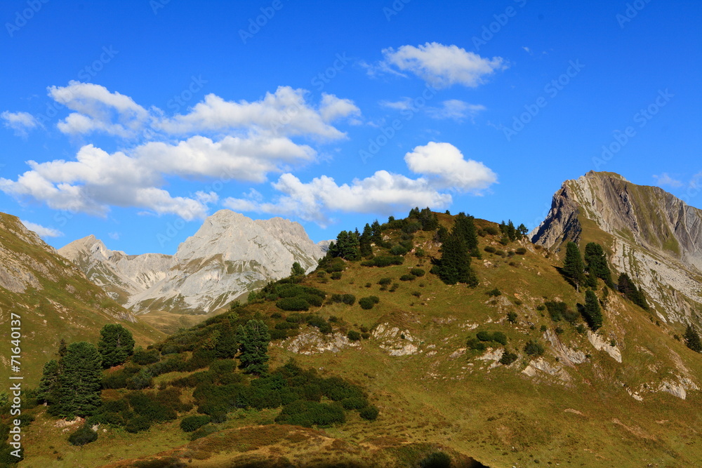 Fototapeta premium Sommer in den Alpen