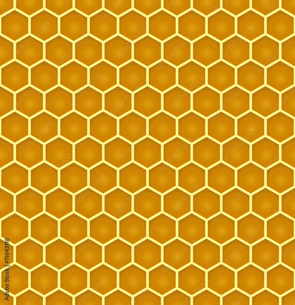 bee honeycomb colorful seamless pattern eps10 bee honeycomb colorful seamless pattern eps10