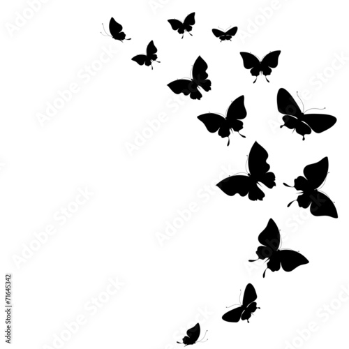 butterflies design
