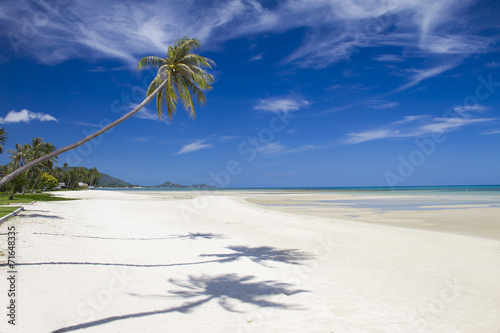 Beach with coconut