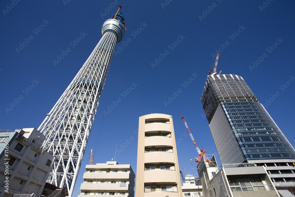 Naklejka premium 建設中の東京スカイツリー