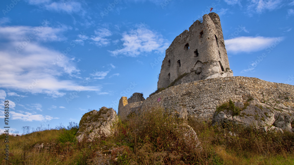 Medieval ruins of Mirow Castle, Poland