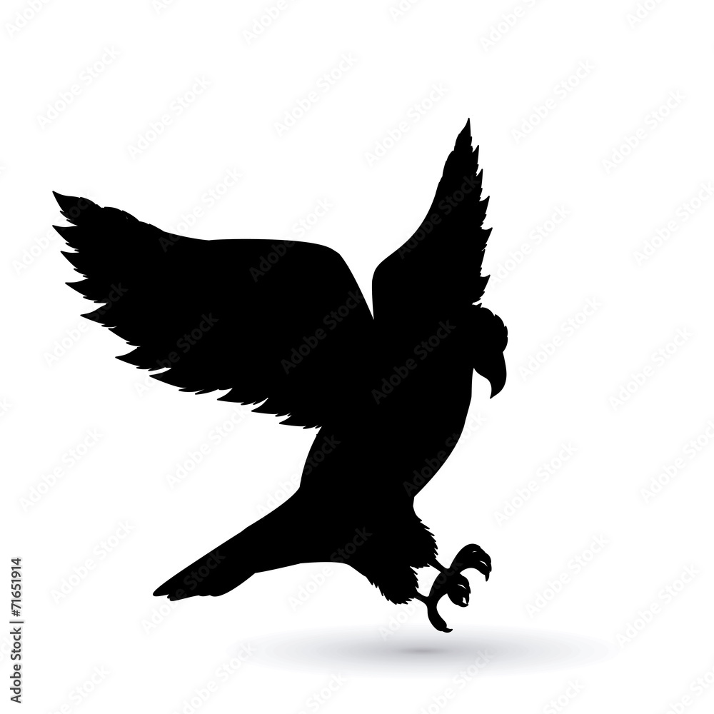Obraz premium Animal design
