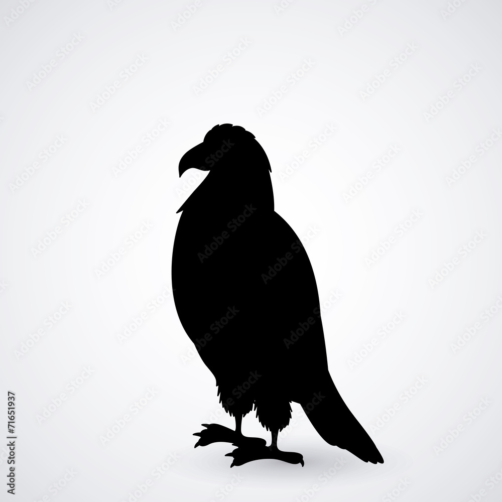 Fototapeta premium Animal design