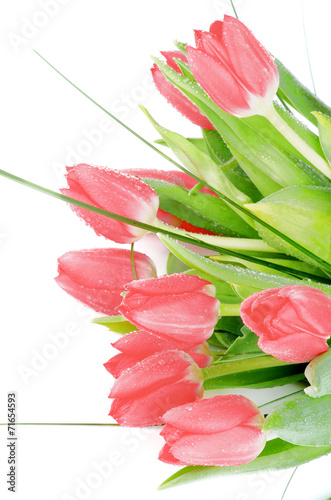 Fototapeta Naklejka Na Ścianę i Meble -  Spring Tulips