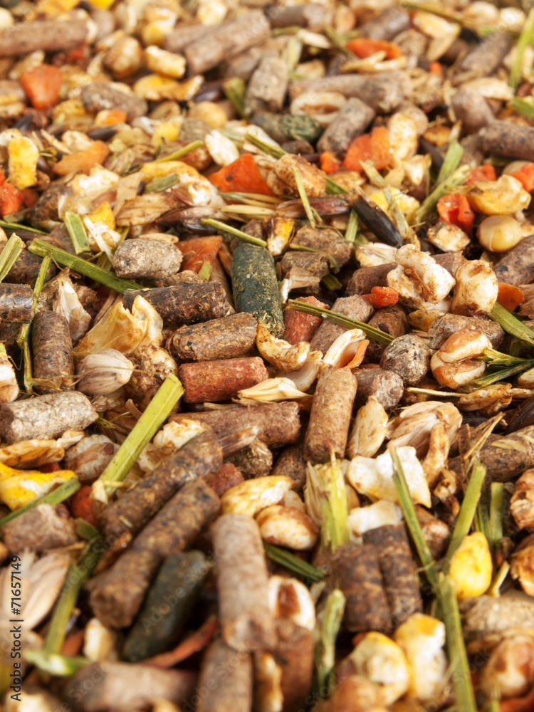 backgroound of sportive elite muesli for horses backgroound of sportive elite muesli for horses