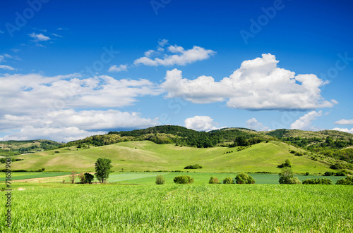 Green field and blue sky.