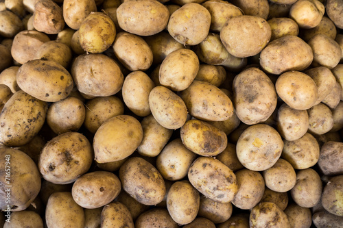 potatoes on a market.  Fresh organic young potatoes