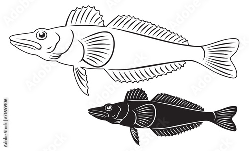 icefish