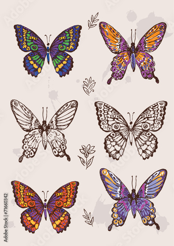 Set of colorful isolated butterflies. © grafnata