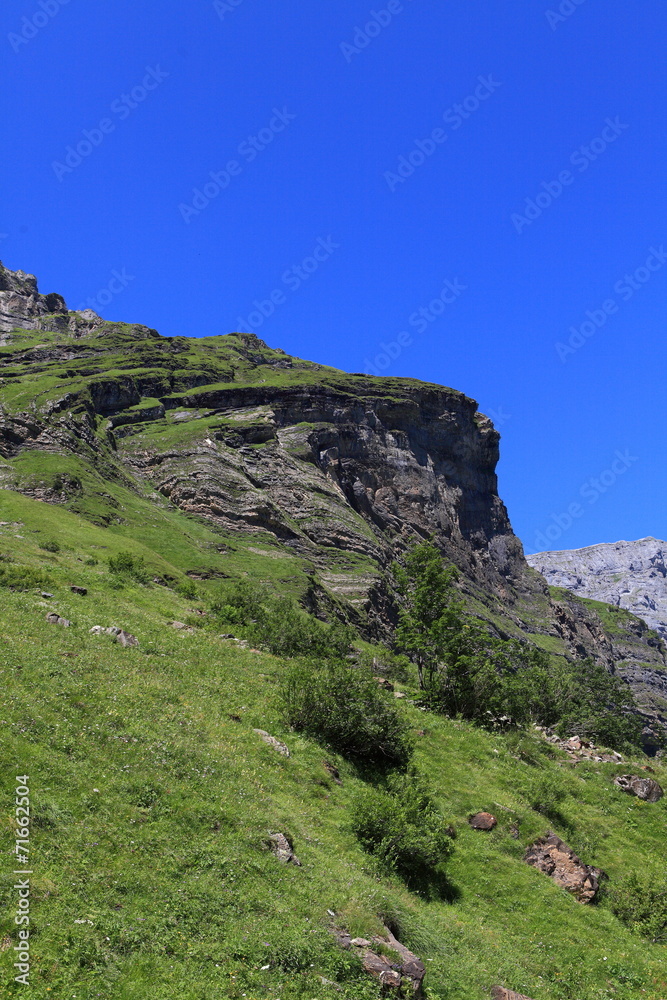Sommer in den Alpen Sommer in den Alpen