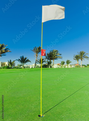 Golf Flag Spread On The Wind